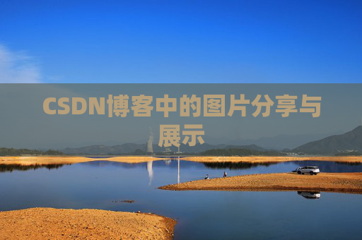 CSDN博客中的图片分享与展示